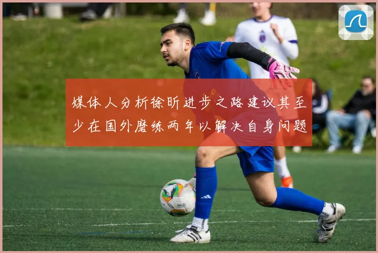 媒体人分析徐昕进步之路建议其至少在国外磨练两年以解决自身问题