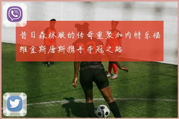 昔日森林狼的传奇重聚加内特乐福维金斯唐斯携手夺冠之路